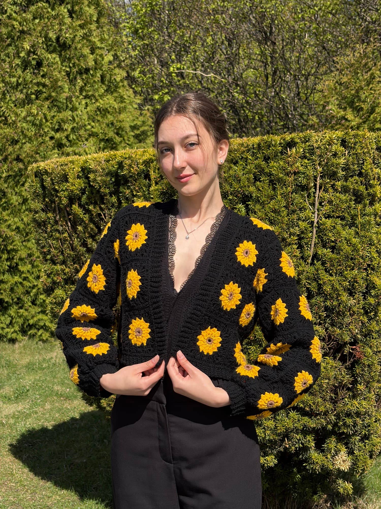 Cardigan Sunflower photo